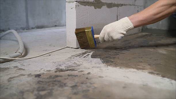 SJ Waterproofing Pros Waterproofing coverage map for Whitleyville, TN and surrounding area